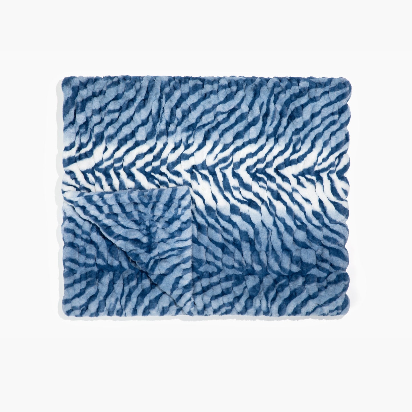 Blue Zebra