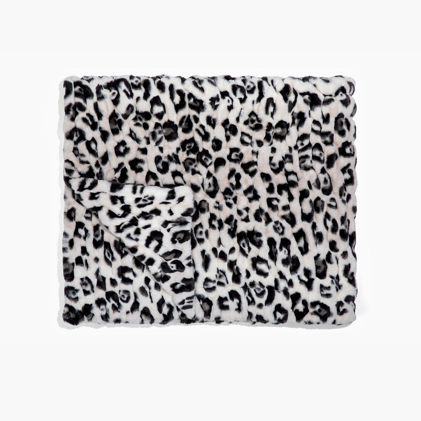 Snow Leopard