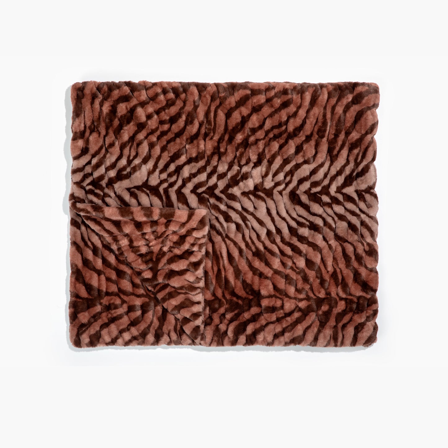 Terracotta Zebra